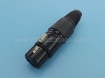 XLR Female 3P-5P